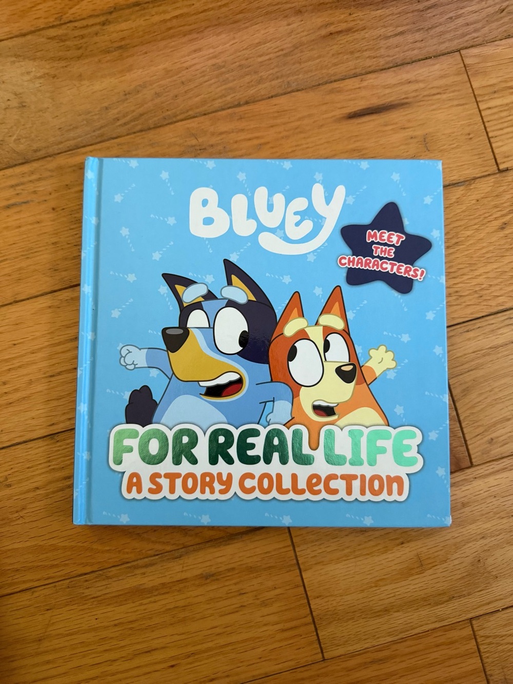 Bluey For Real Life: A Story Collection - Blue Hardcover Kids Book